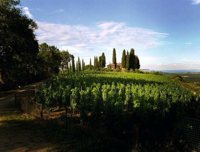 Podere Il Carnasciale