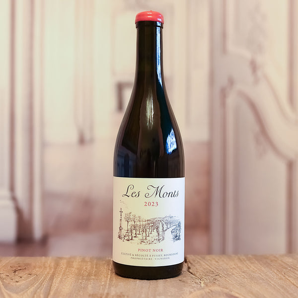 Les Monts, Hautes-Côtes de Beaune "Les Crucibees" Monopole  2023